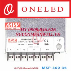 Giá Bộ Nguồn Meanwell MSP-300-36
